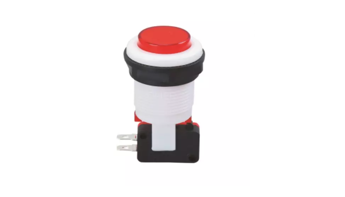 5A 250VAC Push Button Switch